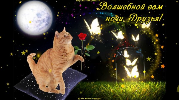 Приятных сказочных снов