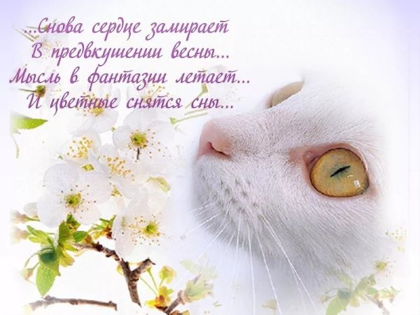 Поздравление с первым днем весны