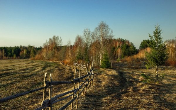 Дм.Левин Деревенские пейзажи