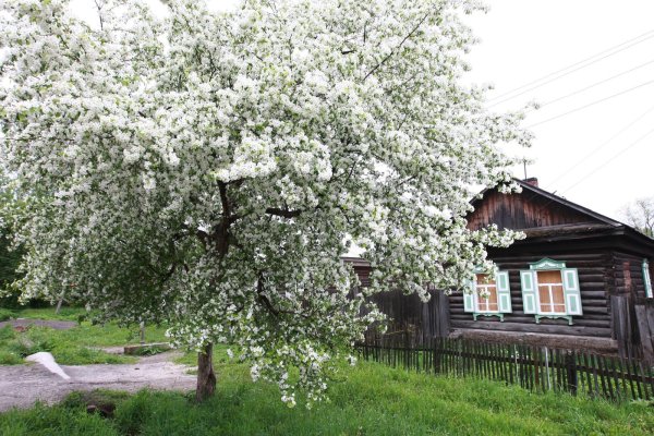 Половодье Суздаль набережная