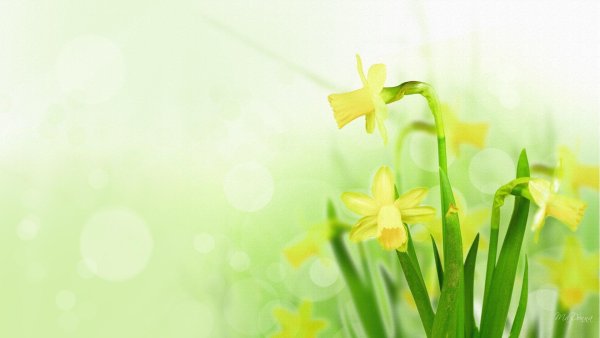 Шаблоны для презентаций детские