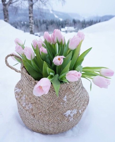 С добрым весенним утром