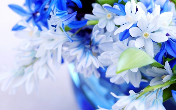 Обложка для одноклассников голубая