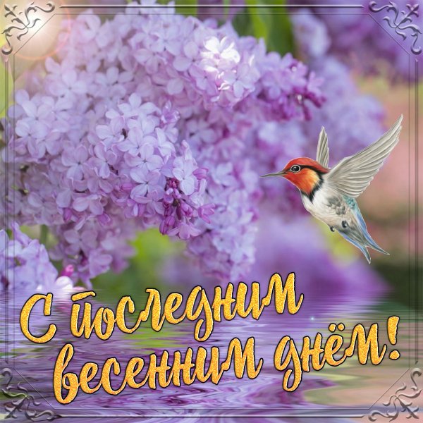 Приветик с весной
