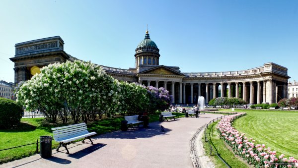 Сирень у Казанского собора в Санкт-Петербурге