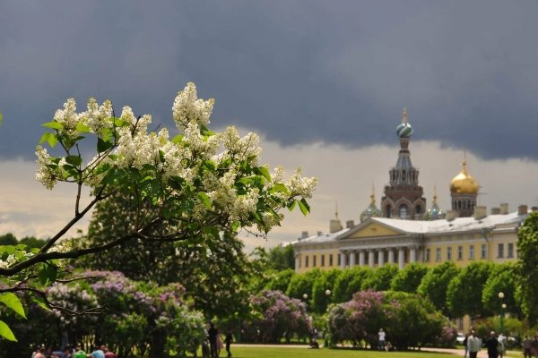 Цветущие Марсово поле Санкт-Петербург