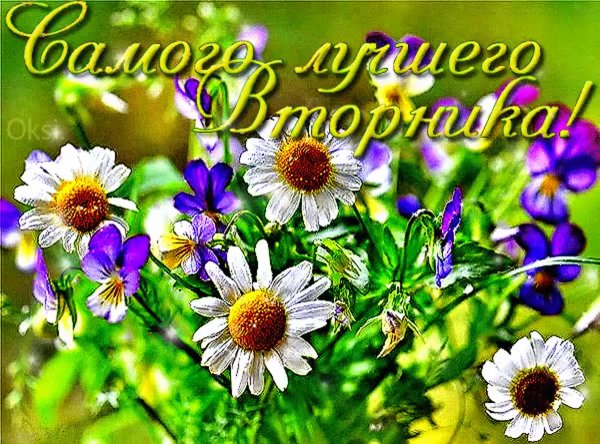 Открытки удачного вторника