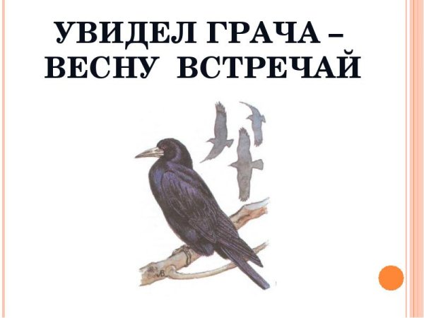 Увидел Грача весну встречай