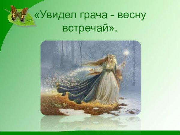 Грачи придумать предложение