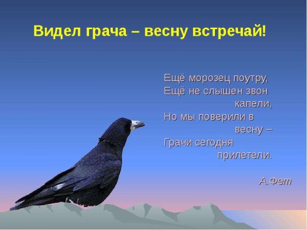 Герасим Грачевник 17 марта