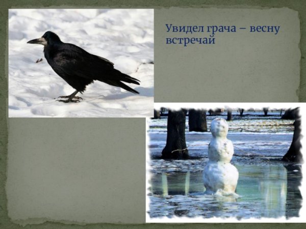 Увидел Грача весну встречай