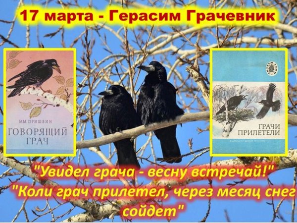 Птицы на крыльях весну принесли