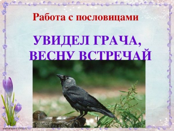 Увидел Грача весну встречай