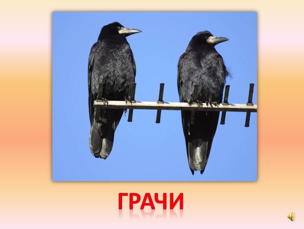 17 Марта праздник Герасим Грачевник