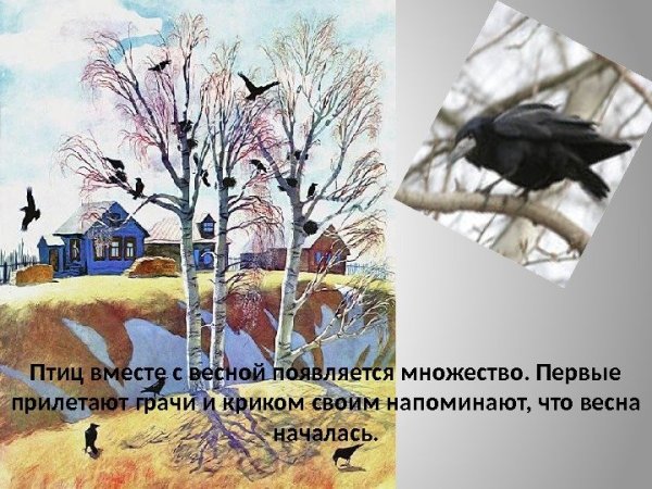 Первые вестники весны