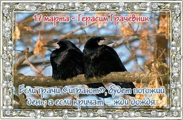 Скребицкого Грачи прилетели