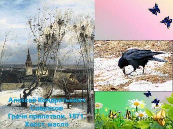 Грачи вестники весны