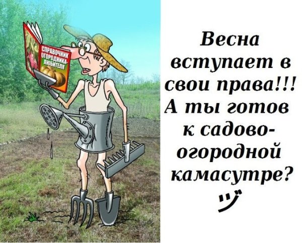 Смешно о дачниках