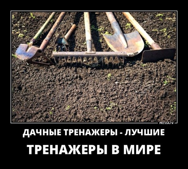 Про огород прикольные