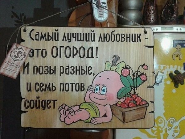 Дачники картинки