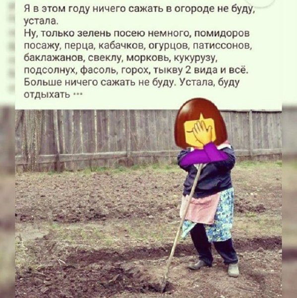 Огород карикатура