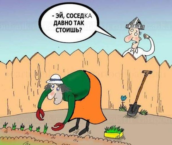 Сорняки мультяшные