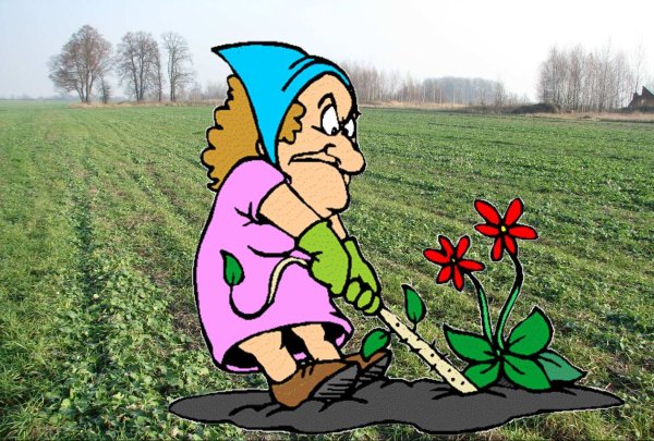 Огород карикатура