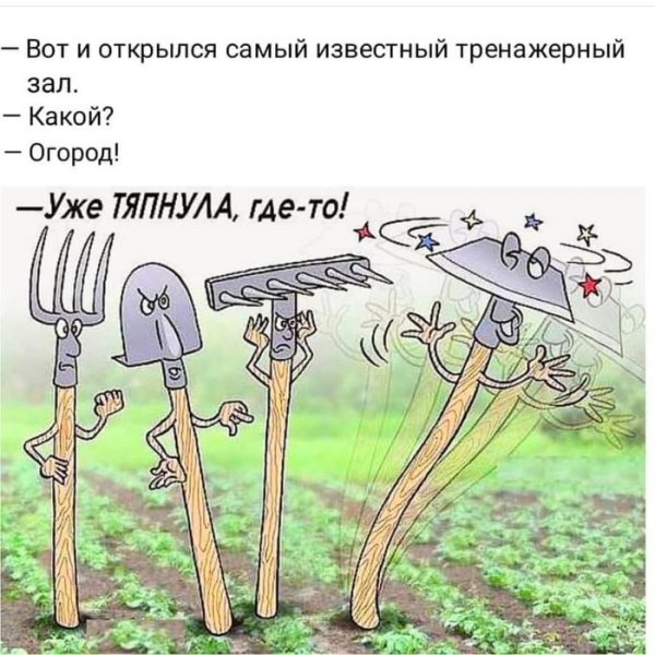 Анекдоты про огород
