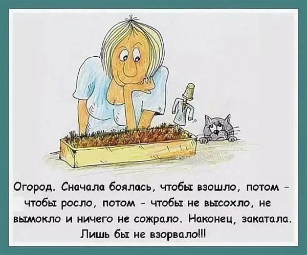 Приколы про огород