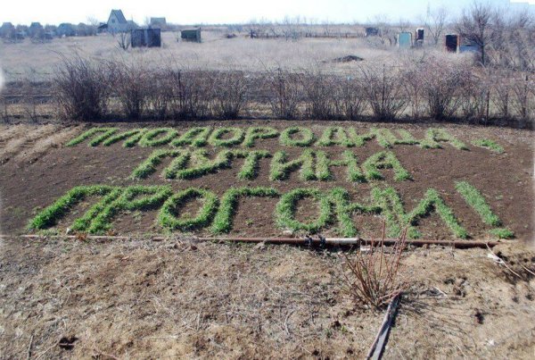 Фитнес на огороде прикол