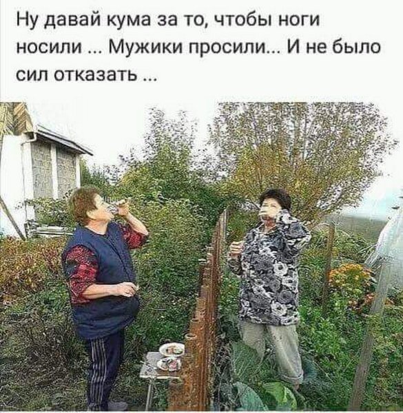 Шутки про огород