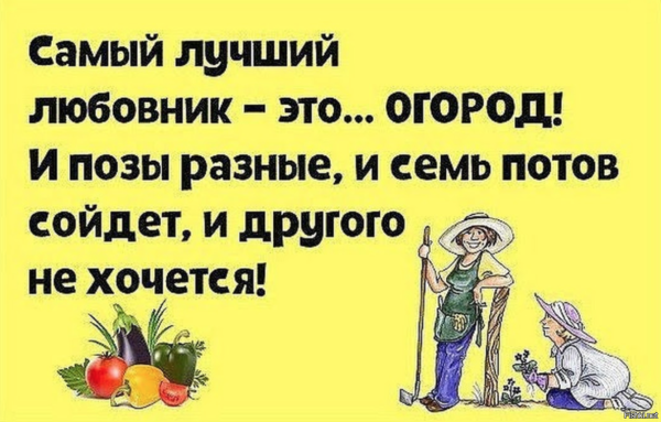 Демотиваторы про огород и дачу