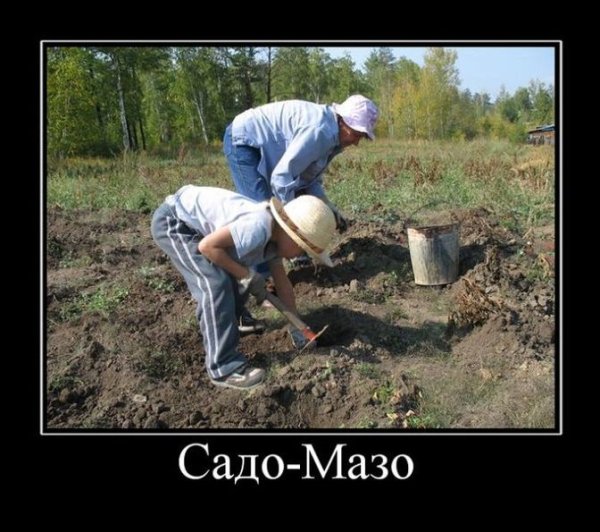 Огород юмор