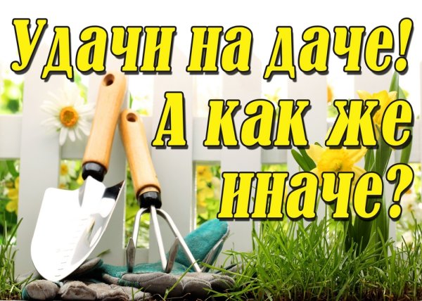 Карикатура дача