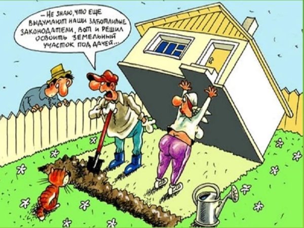 Копают картошку карикатура