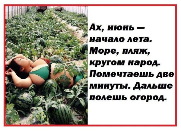 Приколы про дачу смешные