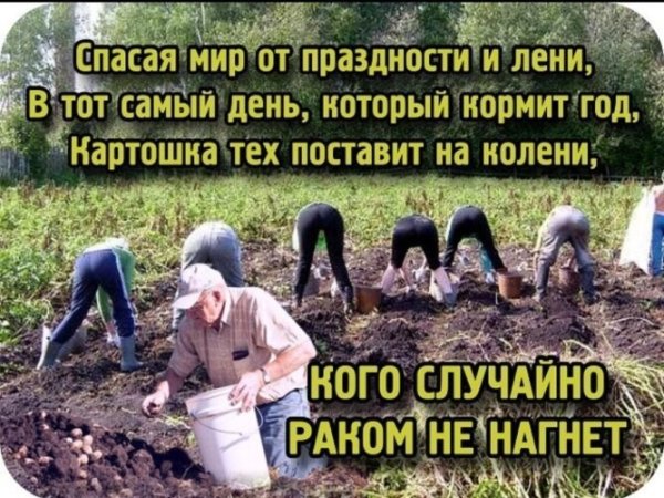 Веселые надписи на даче