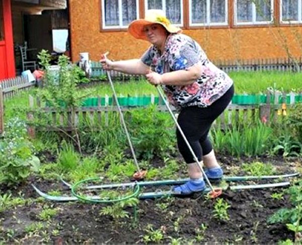 Приколы про огород и дачу