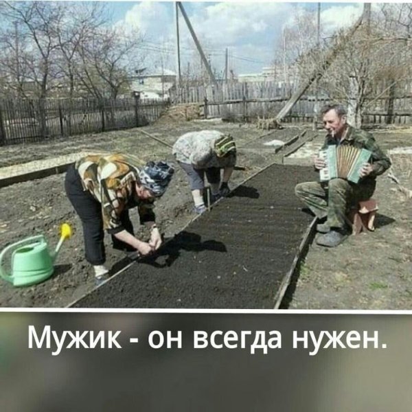 Цитаты про огород