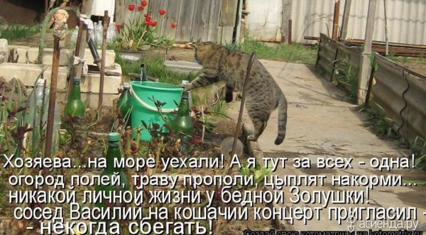 Пахать на даче