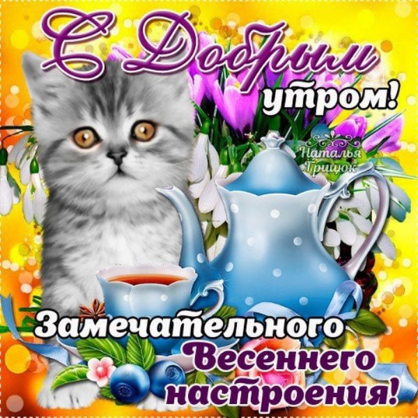 С добрым утром птички