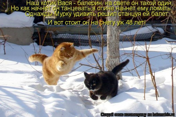 Цитаты про март