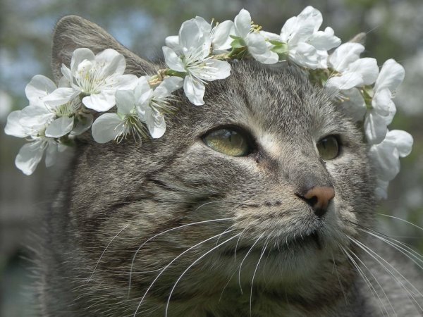 Bird born Весна