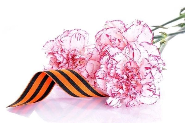 Гвоздики с георгиевской лентой