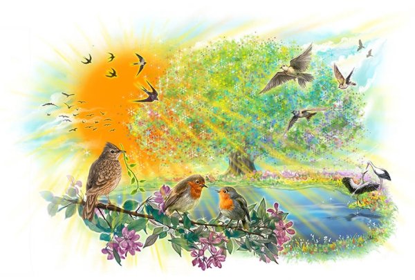 Природа птицы