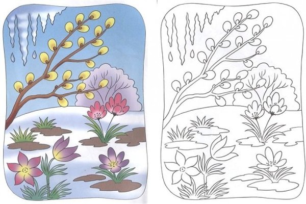 Соловьева Подснежник