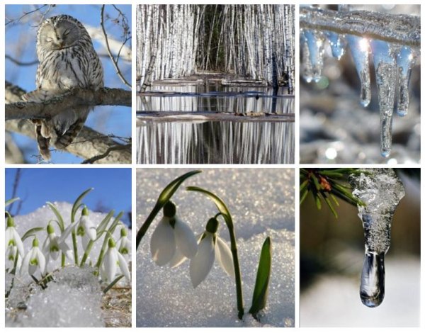 Снежное утро