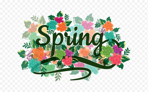 Spring надпись