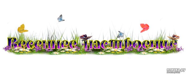 Надпись Весна на прозрачном фоне