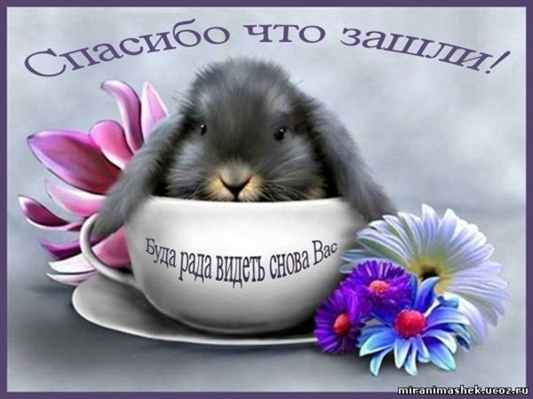 Позитивные животные